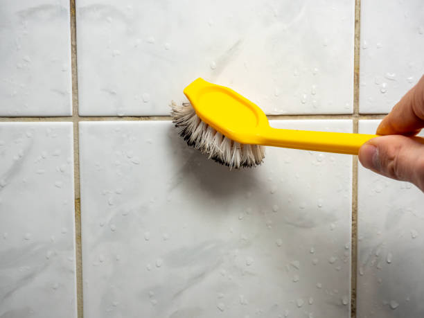 Best Residential Mold Removal  in Menard, TX