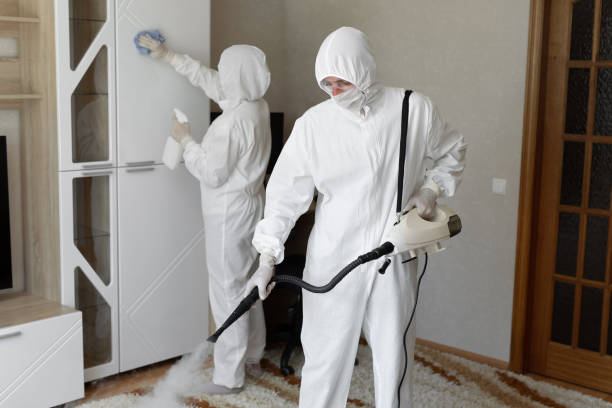 Best Mold Cleaning Services  in Menard, TX