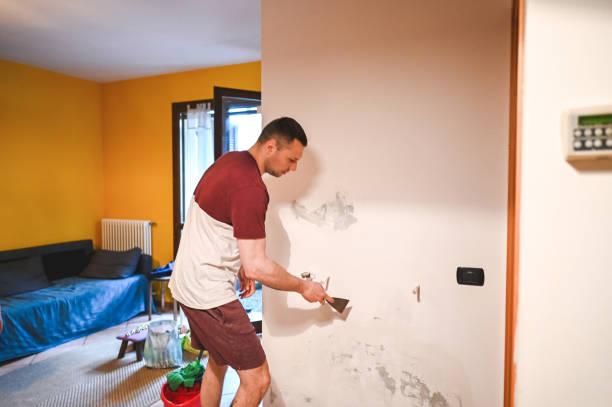 Best Mold Remediation Services  in Menard, TX